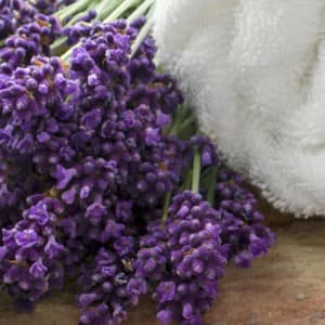 A close-up image featuring a Lavender Spa Candle next to a soft, white rolled towel on a wooden surface. The textures of the delicate flowers contrast with the plush fabric of the towel, creating a calm and soothing spa-like visual.