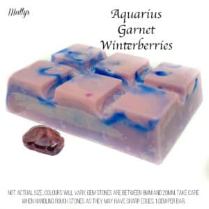 aquarius garnet winterberries