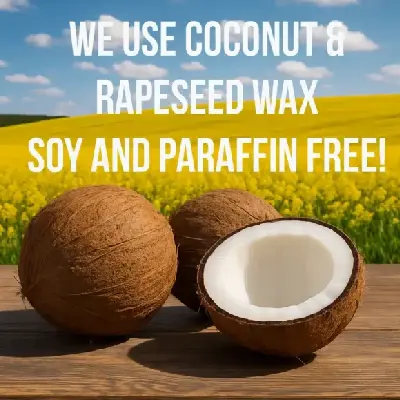 Three coconuts, one cut open, sit on a wooden surface with a yellow rapeseed field and blue sky in the background. Text reads: “We use coconut & rapeseed wax in our candles and wax melts. Soy and paraffin free!”.