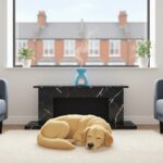 A golden retriever sleeps on a white rug in a cosy living room with blue sofas, a black fireplace, and an aroma diffuser on the mantelpiece. Large window shows houses outside.