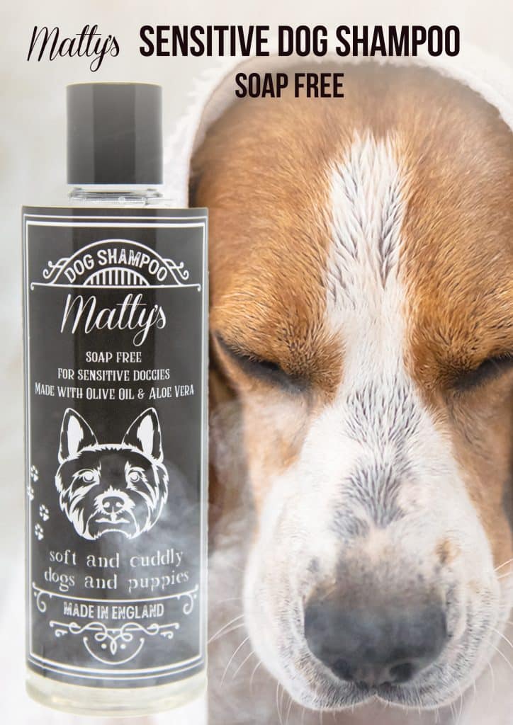 How to Choose a Candle Gift Set: The Ultimate Guide from Matty's Candles - Master how to choose a candle gift set that truly delights. Matty's Candles guid