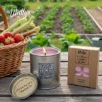 Premium Wax Melt Snap Bars: Bulk Buy UK & White Label Options | Matty's Candles - Discover premium wax melt snap bar bulk buy options in the UK at Matty's Candles